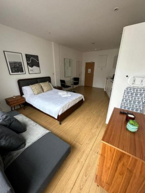 Central London Gem 1 BR Flat Piccadilly Circus VR8